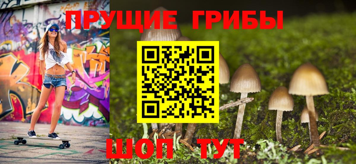 Нижневартовск  Галлюциногенные грибы Psilocybine cubensis  Вход с VPN 