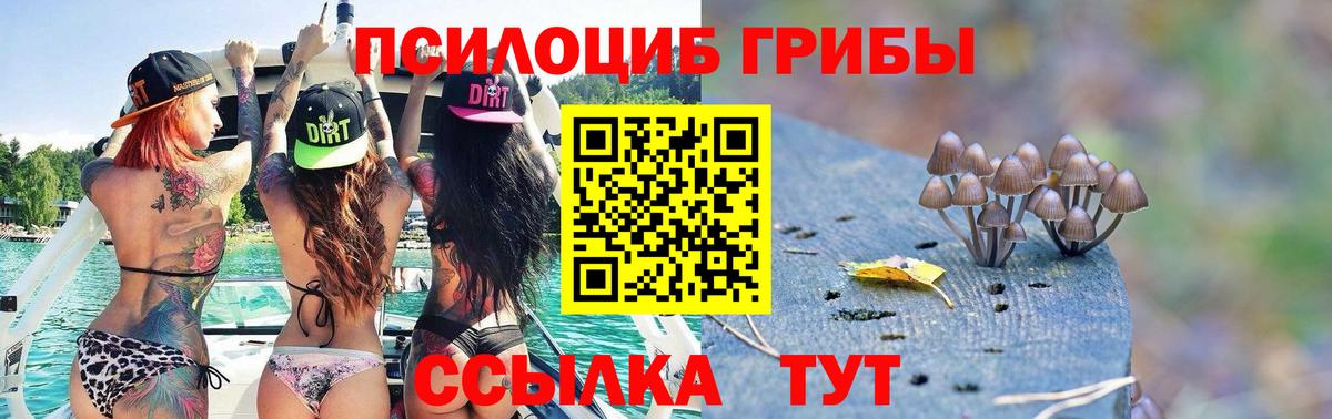 Псилоцибиновые грибы Cubensis Нижневартовск